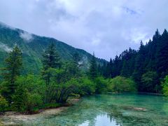 -黄龙山原始森林景区
