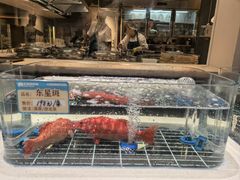 -北李·海肠捞饭·大连菜(望京凯德MALL店)