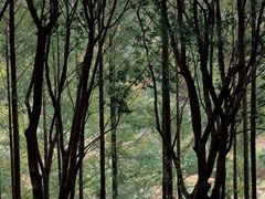 -重庆中央公园(渝北区)