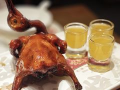 -大鸽饭(岗顶店)