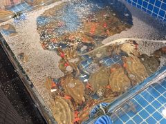 -隐厨·海鲜大排档·老鲁菜(恒通路店)