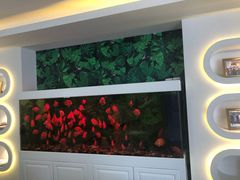 -品凯口腔(丰潭门诊)