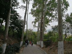 -火炉山森林公园