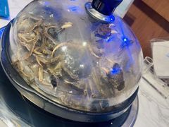 -半岛听涛蒸汽海鲜自助(K11店)
