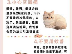 -美联众合动物医院·24h转诊中心