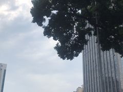 -炊烟小炒黄牛肉(中心印象城店)
