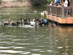 -无锡动物园·太湖欢乐园
