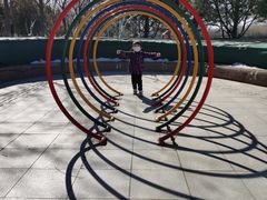 -大兴滨河森林公园