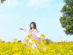 -九龙湖公园