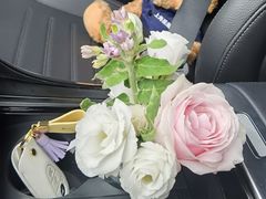 -上海星瀚奔驰4S店(红柳路店)