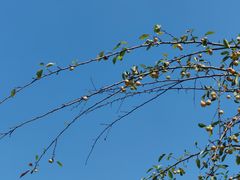 -成都中医药大学(温江校区)