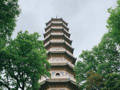 -灵谷景区