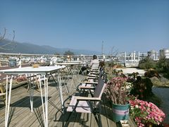 -唐咖精品咖啡(大理古城手冲店)