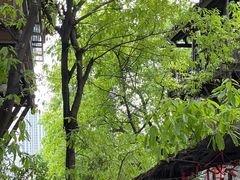 -重庆十八梯传统风貌区