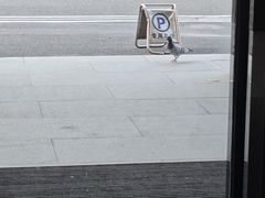 -广州市白云区图书馆