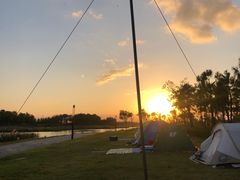 -春花秋色城市公园