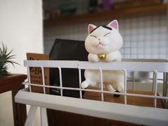 -隹木咖啡馆(宝龙广场店)