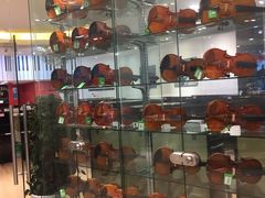 -柏斯琴行(汾阳店)