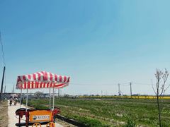 -嘉北郊野公园