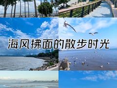 -深圳湾公园(南山区)