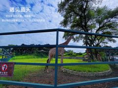 -沈阳森林动物园