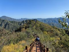 -大岭沟猕猴桃谷风景区