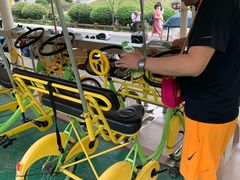 -合肥滨湖国家森林公园