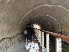 -白水寺森林公园