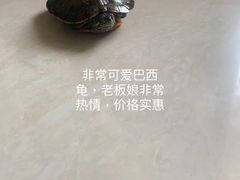 -益财水族馆