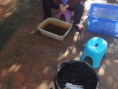 -黑竹香鸡(营和巷店)