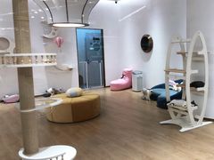 -1013 PET SHOP精品宠物商店(丁香店)