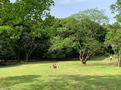 -杭州植物园