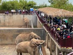 -西霞口神雕山野生动物世界