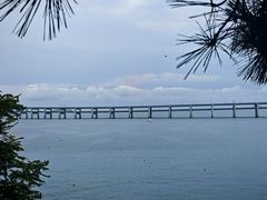 -星海湾跨海大桥