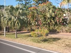 -亚龙湾亚泰商业街