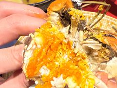 -朱胖子蟹行大闸蟹(定安里店)