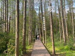 -同里国家湿地公园