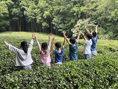 -敬亭山风景名胜区