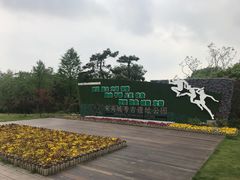 -东园小馆·早茶·淮扬小炒(宋夹城店)