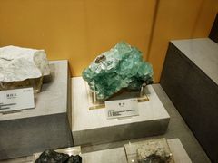 -湖南省地质博物馆