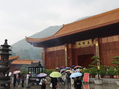 -深圳仙湖植物园-停车场
