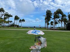 -白云中餐厅·粤菜·亚龙湾喜来登度假酒店