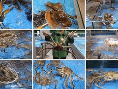 -鹏城人家海鲜酒家·23年老字号(较场尾店)