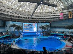 -海合安成都极地海洋公园
