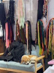 -风马映像摄影工作室(布宫店)