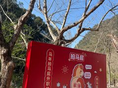 -龙湾潭国家森林公园