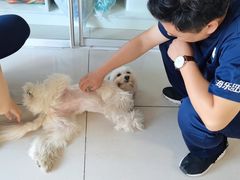 -子乐宠物医院