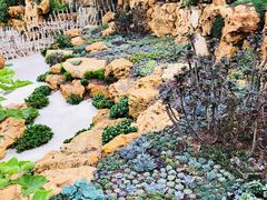 -南通洲际绿博园