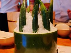 -胡桃里音乐酒馆(四道口店)
