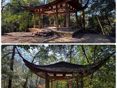 -杭州黄龙洞